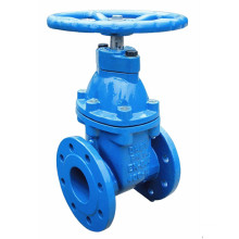 Cast Iron Rubber Wedge Non-Rising Stem Gate Valve